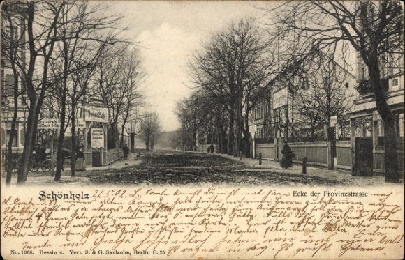 Ak Berlin Pankow Niederschönhausen Schönholz, Ecke der Provinzstraße