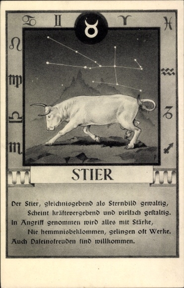 Ak Sternzeichen, der Stier