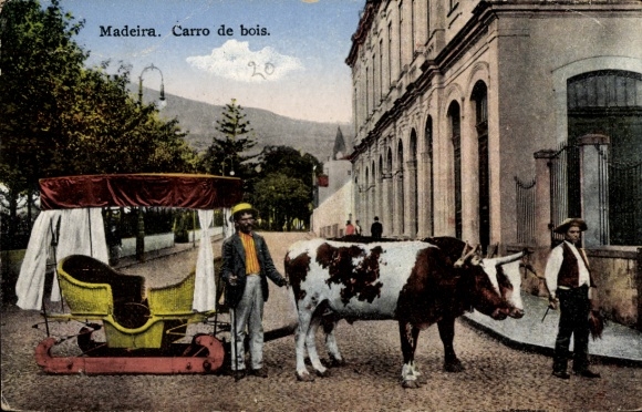 Ak Insel Madeira Portugal, Carro de bois