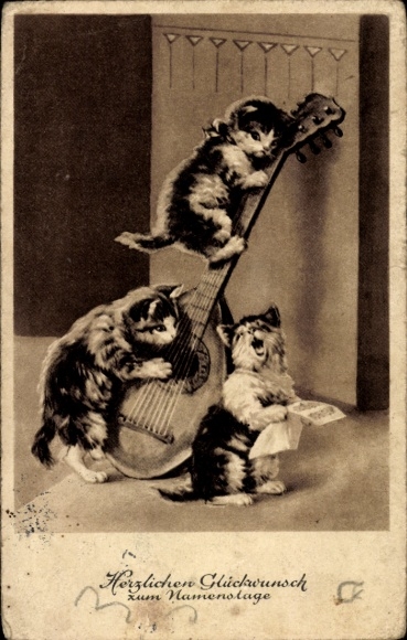 Ak Glückwunsch Namenstag, Katzen