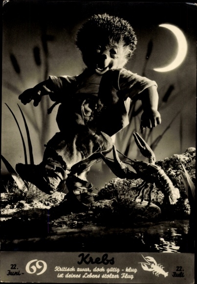 Ak Mecki der Igel, Sternzeichen Krebs, Cancer, 22. Juni bis 22. Juli