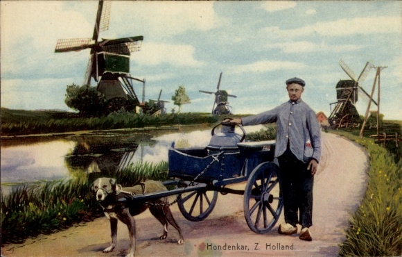 Ak Holland, Hundekarre, Windmühlen