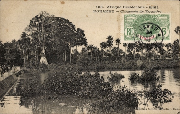 Ak Conakry Konakry Guinea, Flusslandschaft, Palmen, Poststempel, Text in Französisch