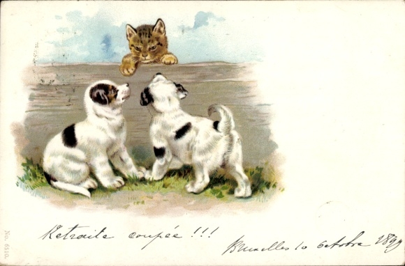 Litho Katze, zwei Hunde, Holzzaun