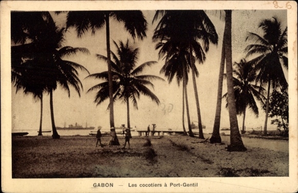 Ak Port Gentil Gabun, Kokospalmen am Hafen