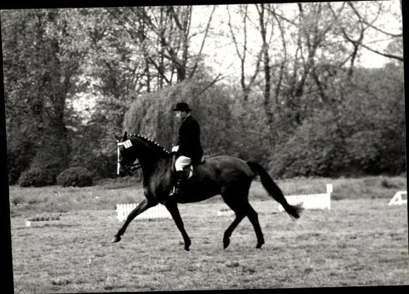 Foto Dressurreiten, Walter Günther, Pferd Daphne