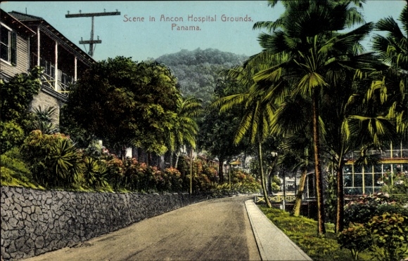 Ak Ancon Panama, Szene im Ancon Hospital Grounds, Palmen, Straße, Berge im Hintergrund