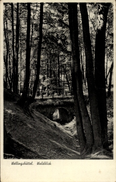 Ak Hamburg Wandsbek Wellingsbüttel , Waldblick, Brücke, Bäume, Schwarz-Weiß-Foto