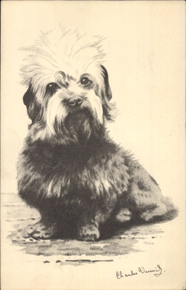 Künstler Ak Dandie Dinmont Terrier, Sophia-Vereeniging tot bescherming van Dieren