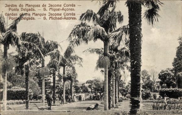 Ak Ponta Delgada Sao Miguel Azoren, Palmen, Garten, Menschen, Schriftzüge,  