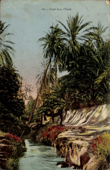 Ak El Oued Algerien, Oase, Palmen
