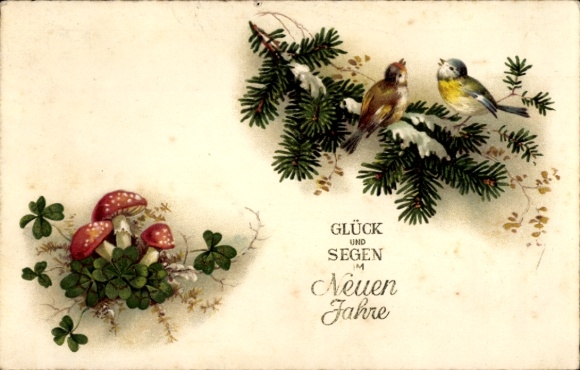 Ak Glück und Segen im Neuen Jahr, Glückspilz, Vögel, Klee