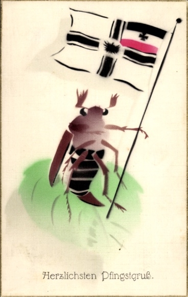 Ak Glückwunsch Pfingsten, Maikäfer, Fahne