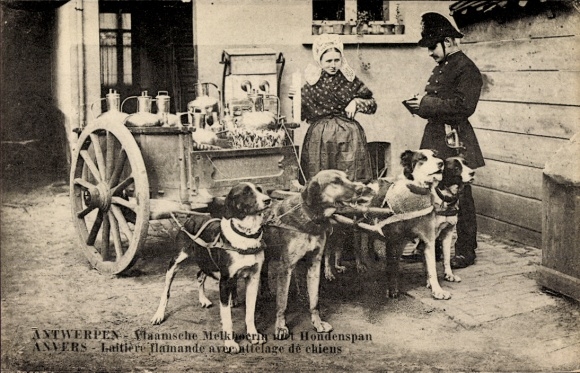 Ak Antwerpen, Milchmädchen, Polizist, Hundekarren