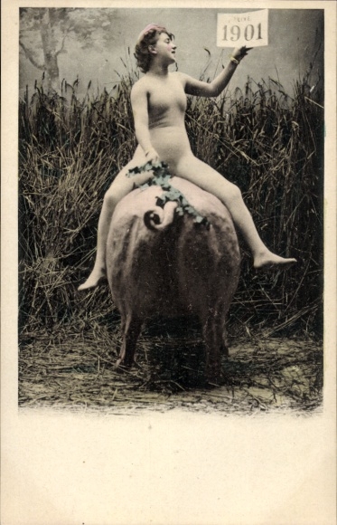 Ak Fröhliches Neujahr 1901, Frau im Ganzkörperanzug auf einem Schwein sitzend
