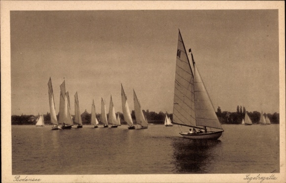 Ak Segelregatta am Bodensee