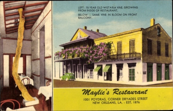 Ak New Orleans Louisiana USA, 70-jährige Wisteria, Restaurant, Balkon, Maylie's Restaurant
