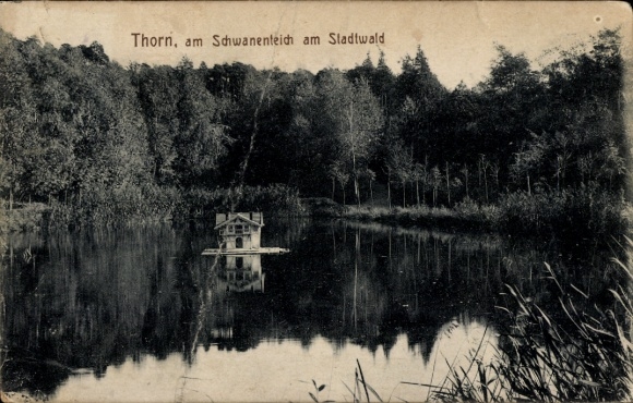 Ak Toruń Thorn Westpreußen,  Schwanenteich, Stadtwald, Wasser, kleines Haus