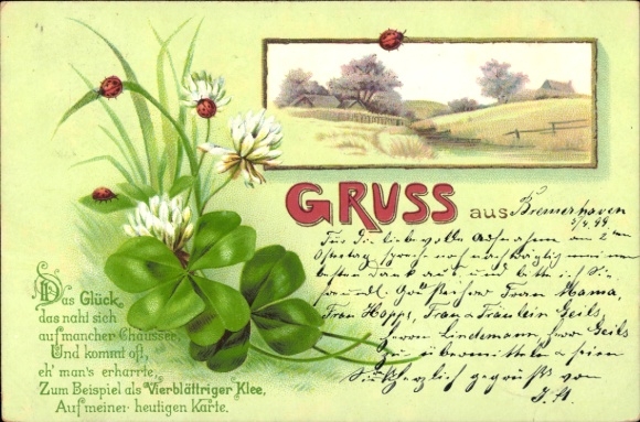 Litho Blumen, Marienkäfer, Frühlingsidylle