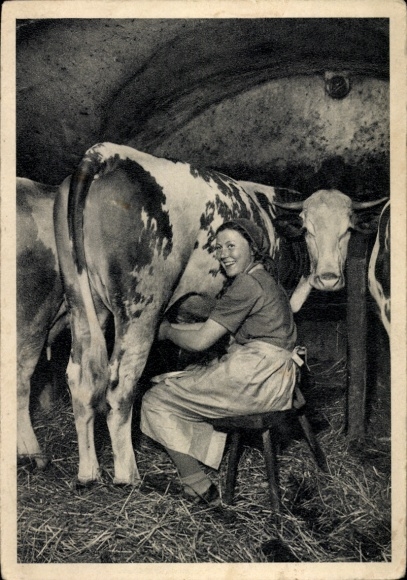 Ak Hans Retzlaff, Reichsarbeitsdienst für die weibliche Jugend, Arbeitsmaid beim Melken, RAD