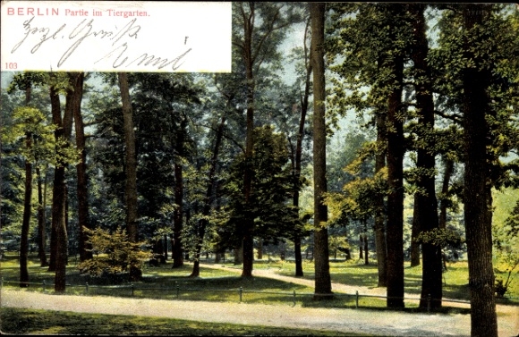 Ak Berlin Tiergarten, im Tiergarten, Park