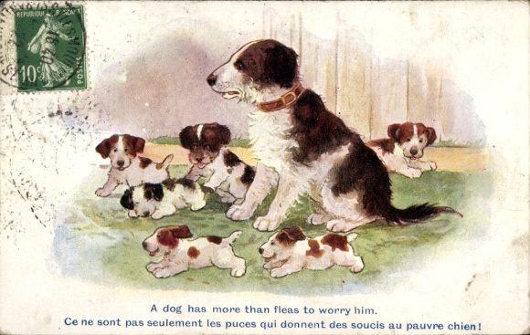 Künstler Ak Hund mit Welpen