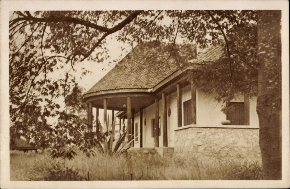 Ak Dschang Kamerun, Haus mit überdachtem Eingang, Bäume im Vordergrund, sepia Farbton