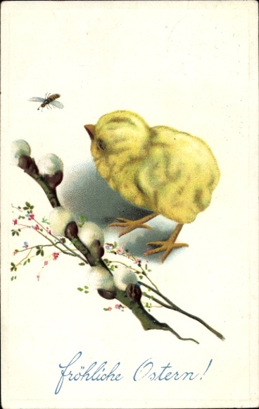 Ak Fröhliche Oster, Küken auf Weidenkätzchenzweig