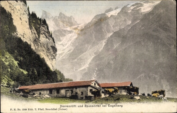 Ak Engelberg Kanton Obwalden Schweiz, Herrenrütti, Spannörter