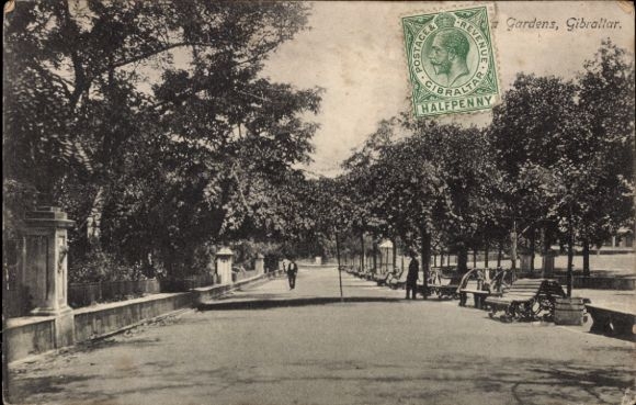 Ak Gibraltar, Garten in  Bäume, Straße, Menschen, Bank, Poststempel, Halbpenny