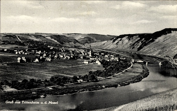 Ak Trittenheim an der Mosel, Gesamtansicht