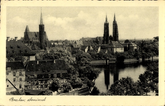 Ak Wrocław Breslau Schlesien, Stadtansicht von  Dominsel, Fluss, Bäume, Türme