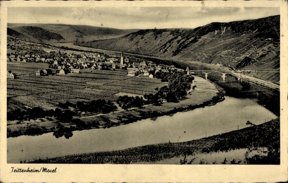 Ak Trittenheim an der Mosel, Gesamtansicht