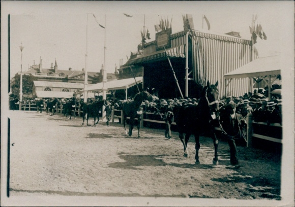 Foto Paris, Eröffnung der Landwirtschaftsausstellung 1912, Pferde, Vorführung vor dem Präsidenten