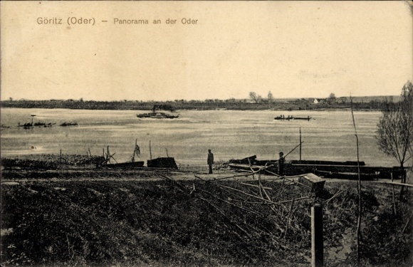 Ak  Górzyca Göritz an der Oder Ostbrandenburg, Panorama