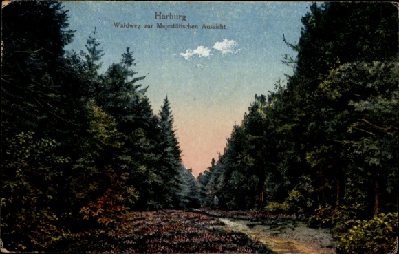 Ak Hamburg Harburg, Waldweg zur Majestätischen Aussicht