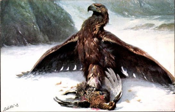 6 Künstler AK im Umschlag Adler von Hans Schmidt