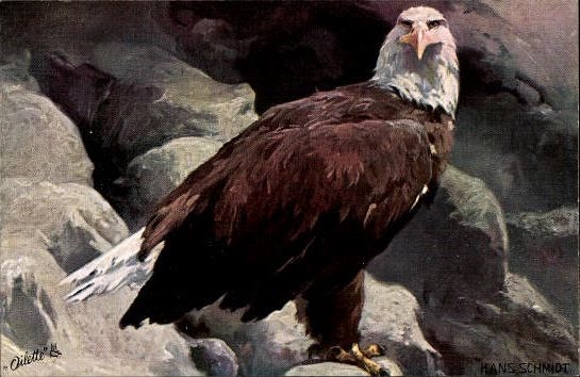 6 Künstler AK im Umschlag Adler von Hans Schmidt