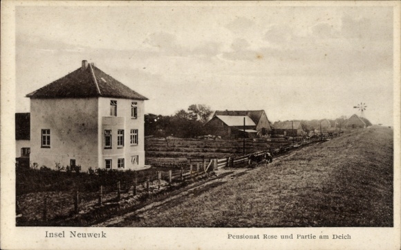 Ak Insel Neuwerk,  Pensionat Rose, Deich, ländliche Umgebung