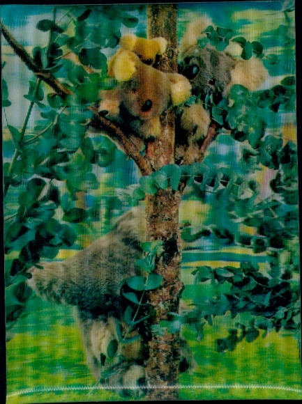 3-D Ak Koalas am Baum