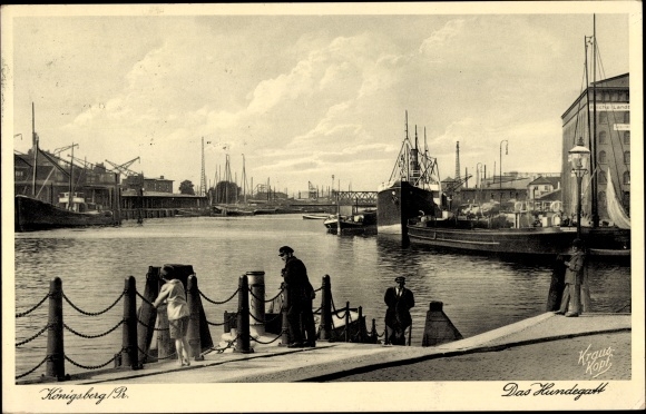 Ak Kaliningrad Königsberg Ostpreußen, Das Hundegatt, Dampfer im Hafen