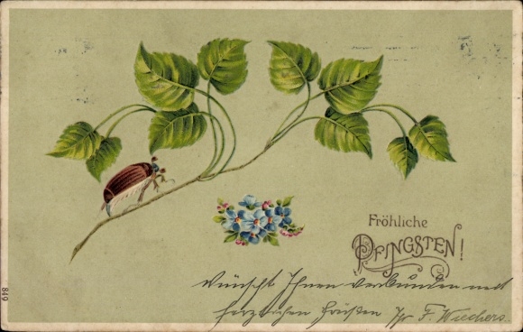 Präge Litho Fröhliche Pfingsten, Maikäfer
